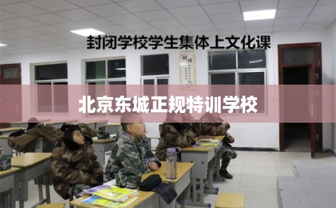 北京东城正规特训学校