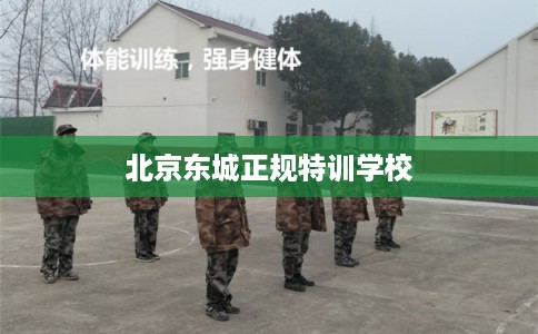 北京东城正规特训学校