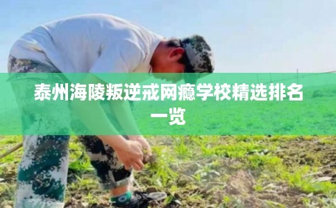 泰州海陵叛逆戒网瘾学校精选排名一览