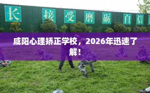 咸阳心理矫正学校，2026年迅速了解！