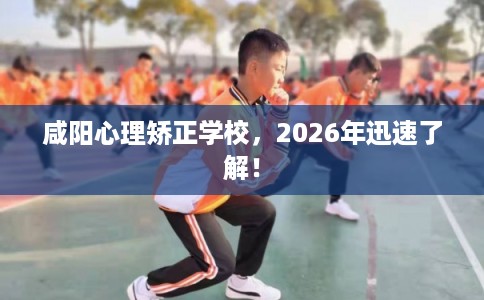 咸阳心理矫正学校，2026年迅速了解！