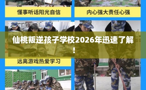 仙桃叛逆孩子学校2026年迅速了解！