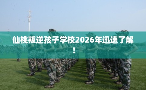 仙桃叛逆孩子学校2026年迅速了解！