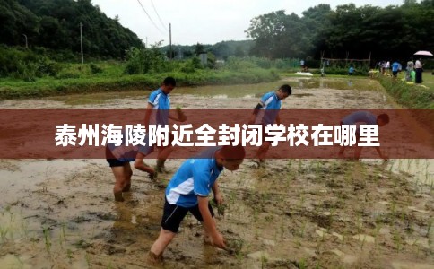 泰州海陵附近全封闭学校在哪里