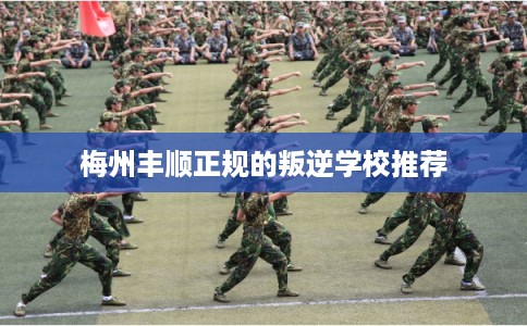 梅州丰顺正规的叛逆学校推荐