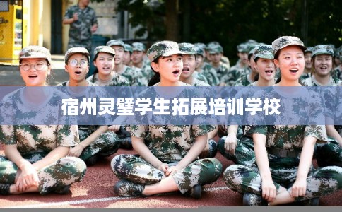 宿州灵璧学生拓展培训学校