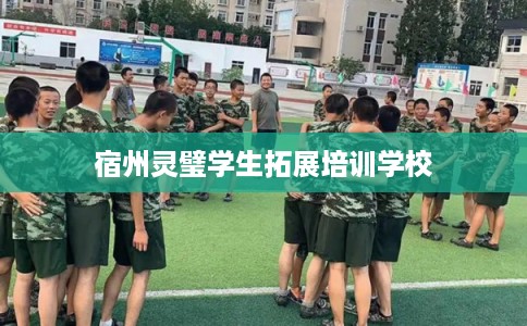 宿州灵璧学生拓展培训学校