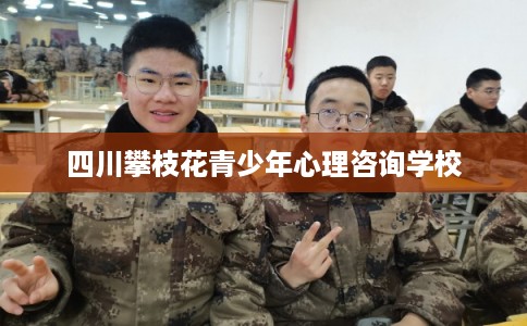 四川攀枝花青少年心理咨询学校