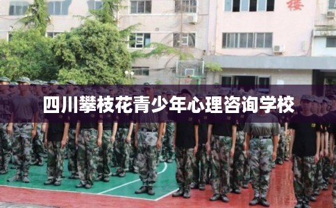 四川攀枝花青少年心理咨询学校