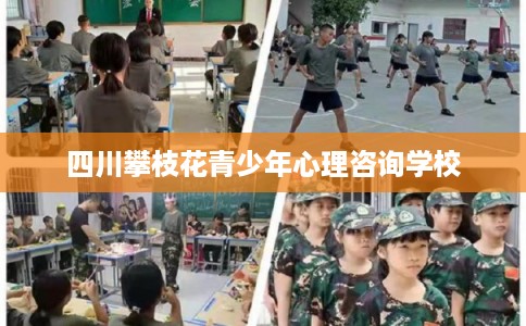 四川攀枝花青少年心理咨询学校