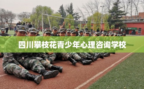 四川攀枝花青少年心理咨询学校
