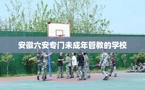 安徽六安专门未成年管教的学校
