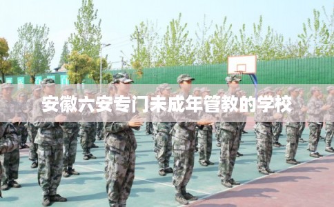 安徽六安专门未成年管教的学校