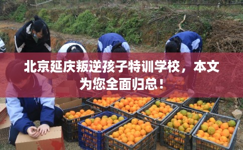 北京延庆叛逆孩子特训学校，本文为您全面归总！