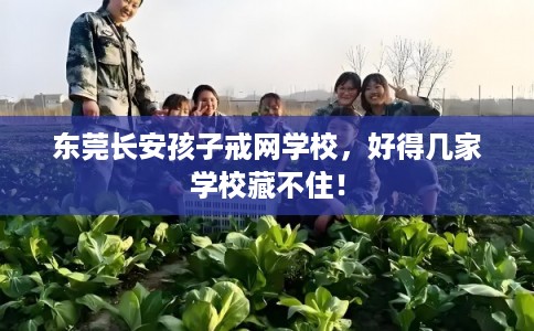 东莞长安孩子戒网学校，好得几家学校藏不住！