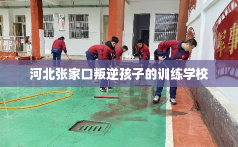 河北张家口叛逆孩子的训练学校