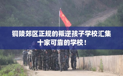 铜陵郊区正规的叛逆孩子学校汇集十家可靠的学校！