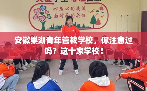安徽巢湖青年管教学校，你注意过吗？这十家学校！