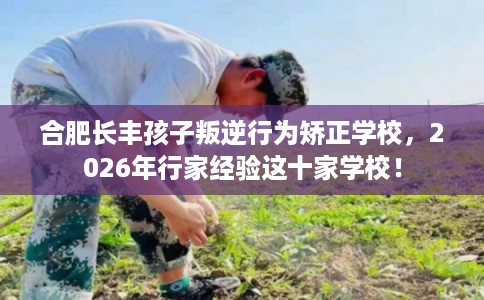 合肥长丰孩子叛逆行为矫正学校,2026年行家经验这十家学校! 合肥长丰孩子叛逆行为矫正学校,2026年行家经验这十家学校!