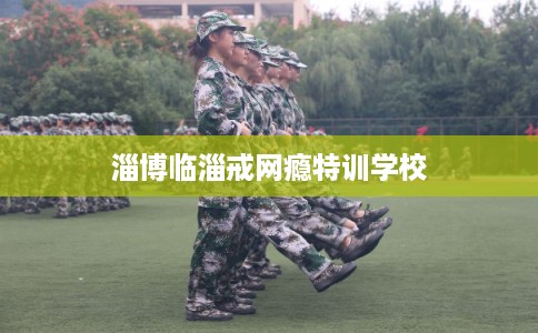 淄博临淄戒网瘾特训学校 淄博临淄戒网瘾特训学校