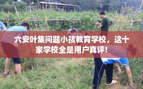 六安叶集问题小孩教育学校，这十家学校全是用户真评!
