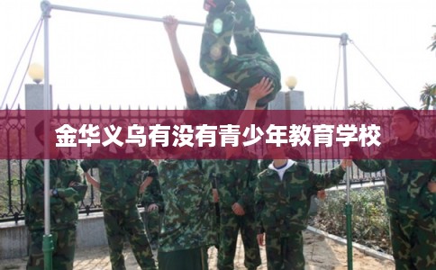 金华义乌有没有青少年教育学校 金华义乌有没有青少年教育学校