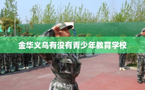 金华义乌有没有青少年教育学校 金华义乌有没有青少年教育学校
