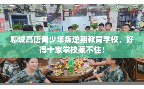 聊城高唐青少年叛逆期教育学校，好得十家学校藏不住！