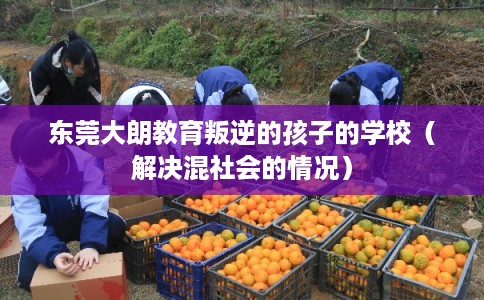 东莞大朗教育叛逆的孩子的学校（解决混社会的情况）