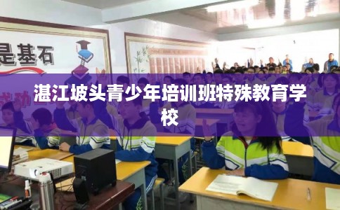 湛江坡头青少年培训班特殊教育学校