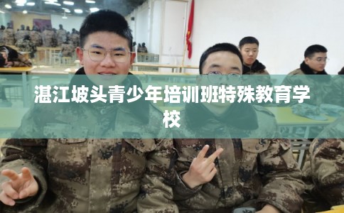 湛江坡头青少年培训班特殊教育学校