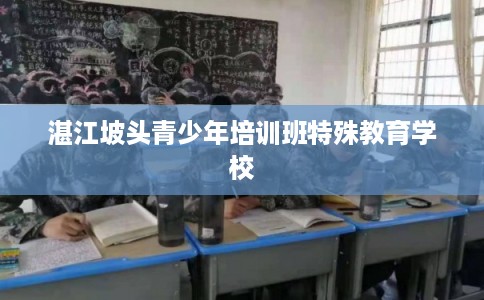 湛江坡头青少年培训班特殊教育学校