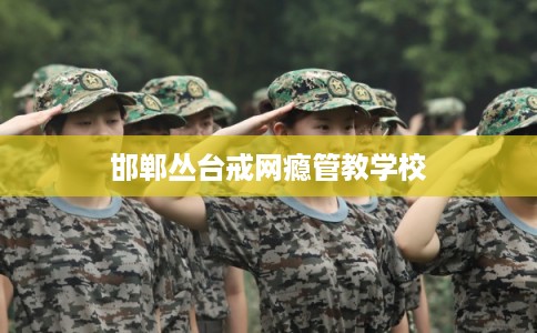 邯郸丛台戒网瘾管教学校