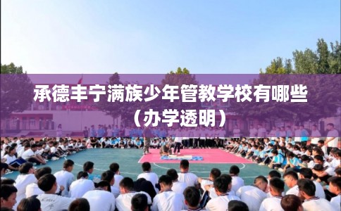 承德丰宁满族少年管教学校有哪些(办学透明) 承德丰宁满族少年管教学校有哪些(办学透明)