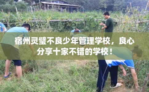 宿州灵璧不良少年管理学校，良心分享十家不错的学校！