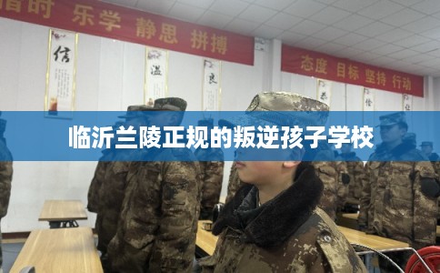临沂兰陵正规的叛逆孩子学校 临沂兰陵正规的叛逆孩子学校