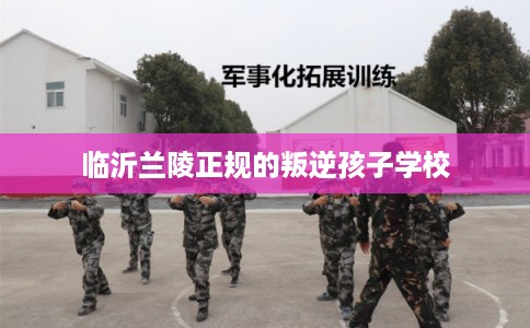 临沂兰陵正规的叛逆孩子学校