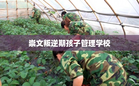 崇文叛逆期孩子管理学校