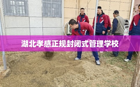 湖北孝感正规封闭式管理学校