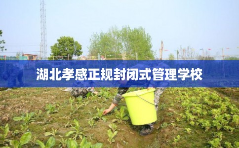 湖北孝感正规封闭式管理学校
