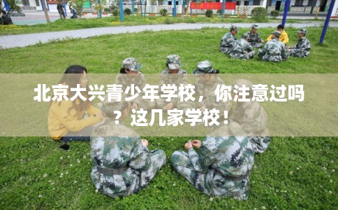 北京大兴青少年学校，你注意过吗？这几家学校！