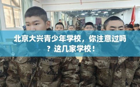 北京大兴青少年学校，你注意过吗？这几家学校！