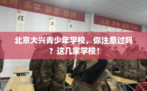 北京大兴青少年学校，你注意过吗？这几家学校！