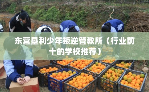 东营垦利少年叛逆管教所(行业前十的学校推荐) 东营垦利少年叛逆管教所(行业前十的学校推荐)