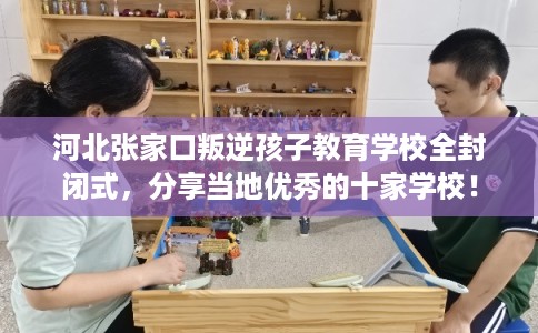 河北张家口叛逆孩子教育学校全封闭式，分享当地优秀的十家学校！