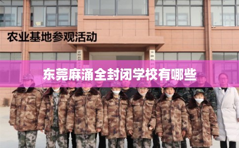 东莞麻涌全封闭学校有哪些
