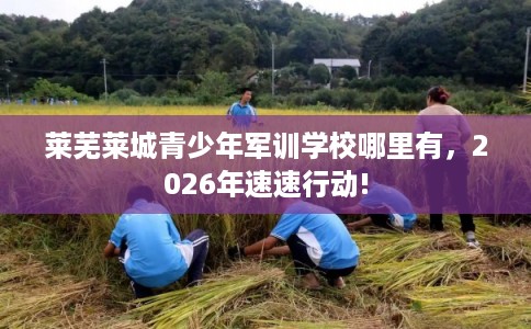 莱芜莱城青少年军训学校哪里有，2026年速速行动!