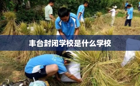丰台封闭学校是什么学校