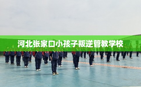 河北张家口小孩子叛逆管教学校