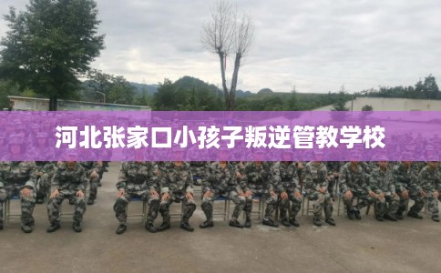 河北张家口小孩子叛逆管教学校